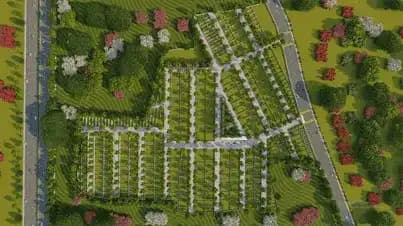 Tree Plantation Drive